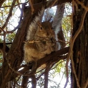 Meet your Posher, Angel